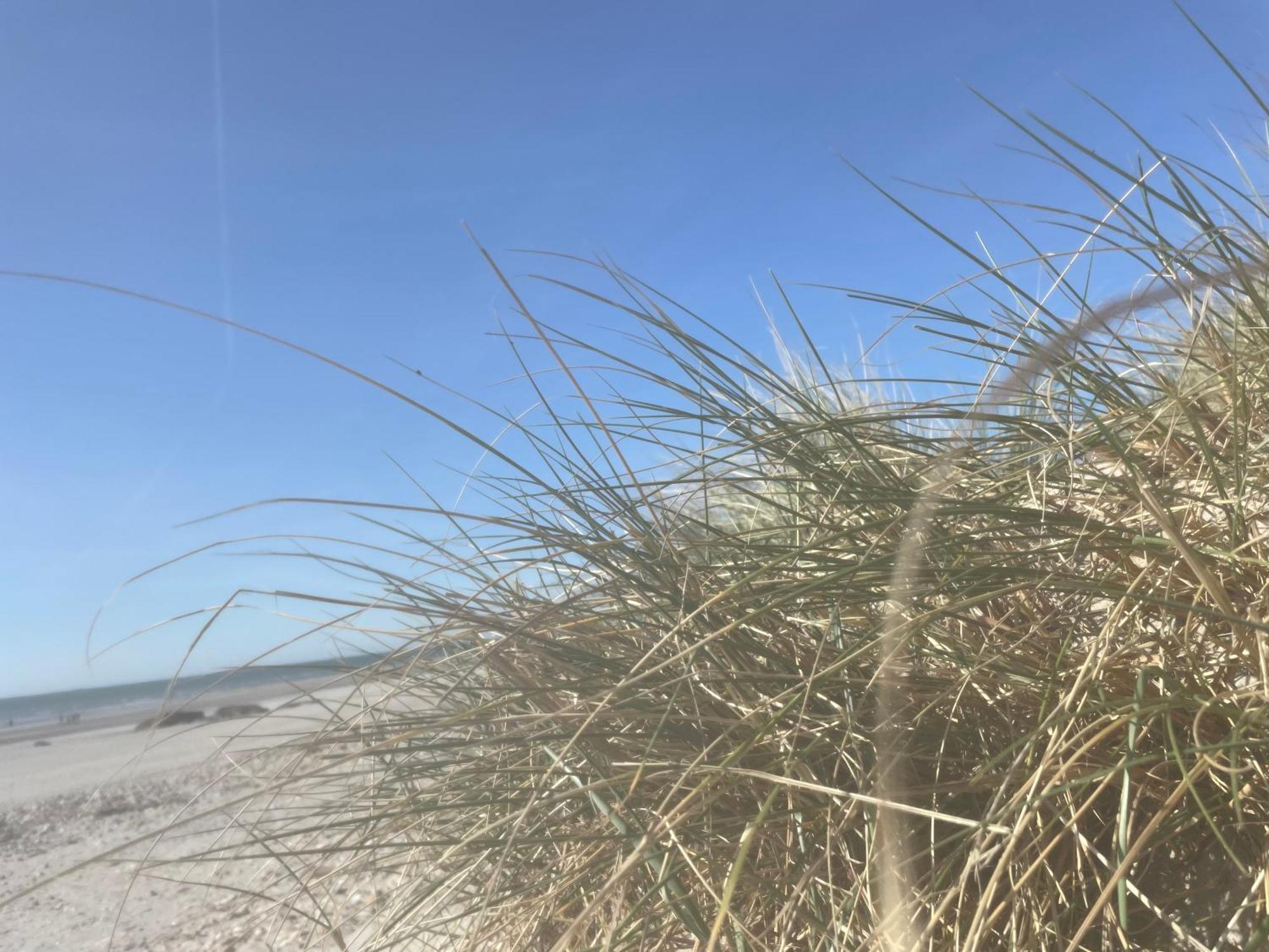 Vue Mer, Golfe Et Dunes- Residence Dunes Du Golfe Вимере Экстерьер фото